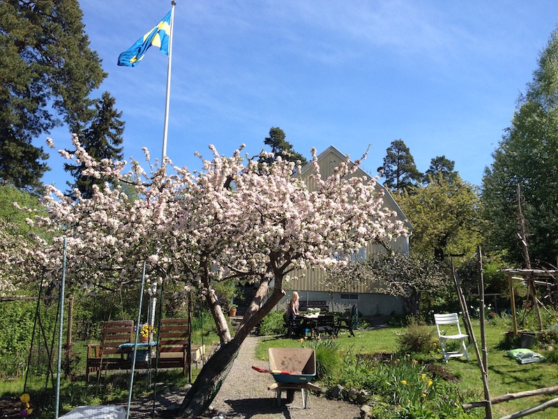 Bellmans trädgårdar, Hägersten